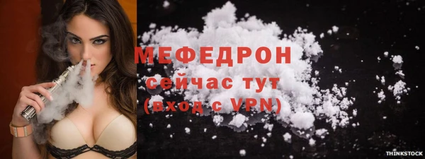 стаф Новодвинск