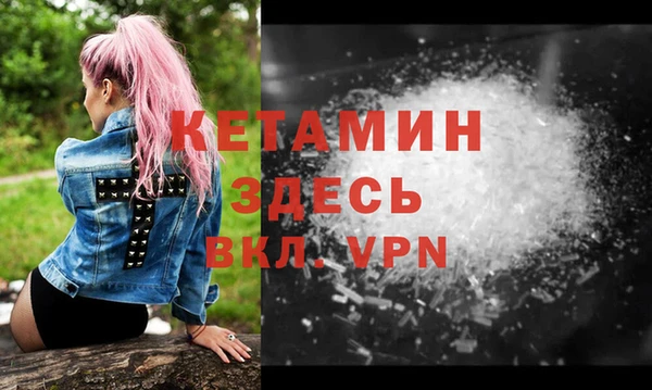 стаф Новодвинск