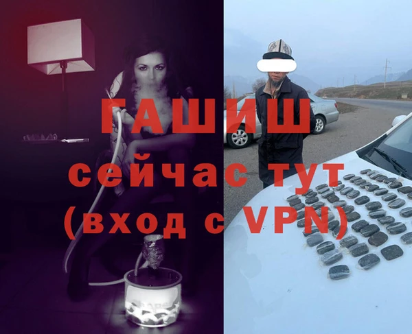 стаф Новодвинск