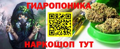 дмт Дубна
