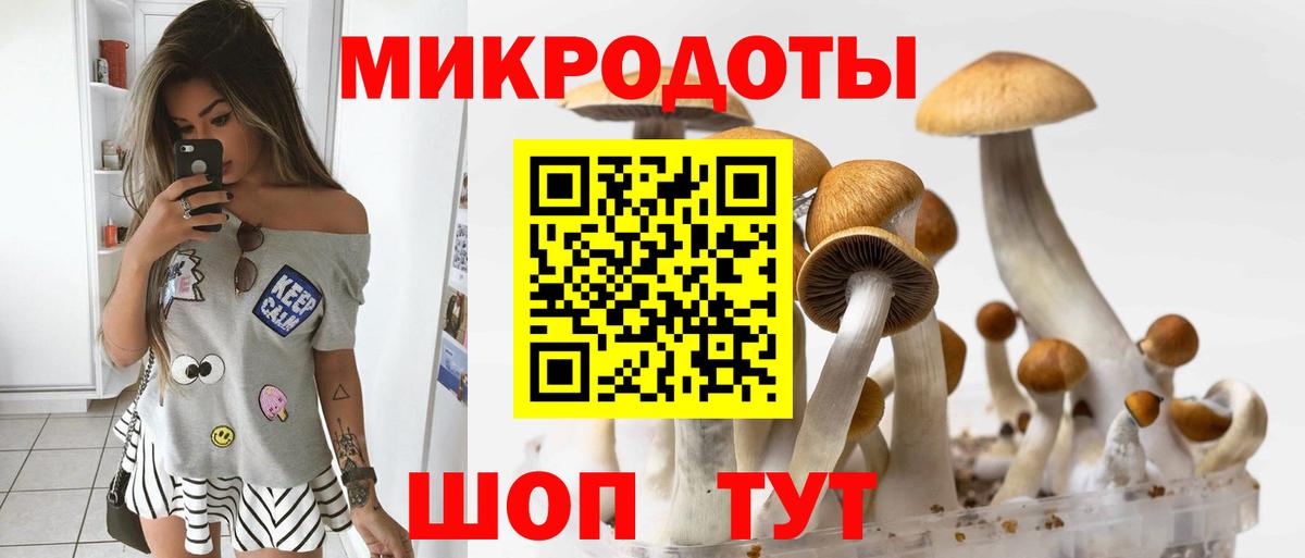 Псилоцибиновые грибы Cubensis  Вход с VPN  Копейск 